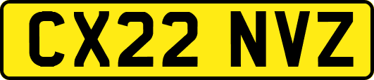 CX22NVZ