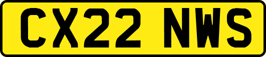 CX22NWS