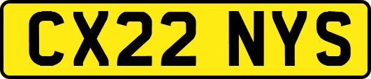 CX22NYS