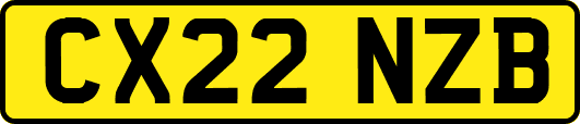 CX22NZB