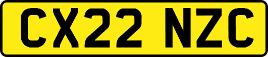 CX22NZC