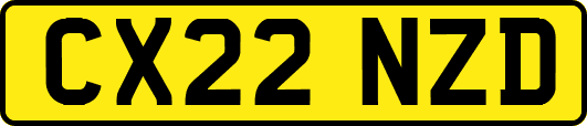 CX22NZD