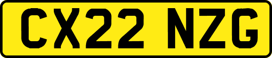 CX22NZG