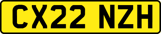 CX22NZH