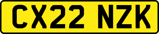 CX22NZK