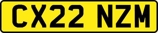 CX22NZM