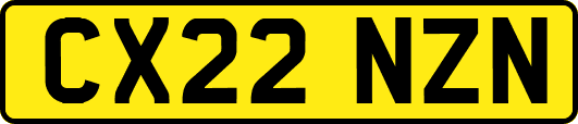 CX22NZN