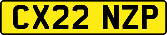 CX22NZP