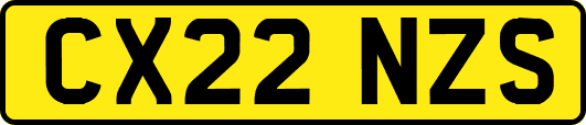 CX22NZS