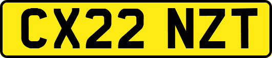 CX22NZT