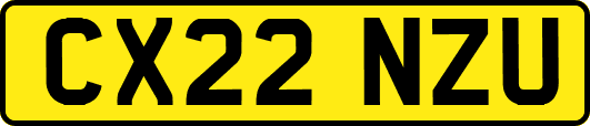 CX22NZU