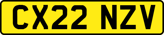 CX22NZV