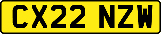 CX22NZW