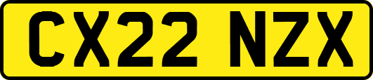 CX22NZX