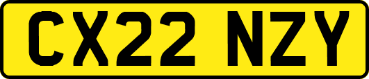 CX22NZY