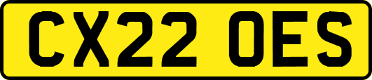 CX22OES