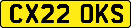 CX22OKS