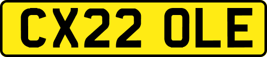 CX22OLE
