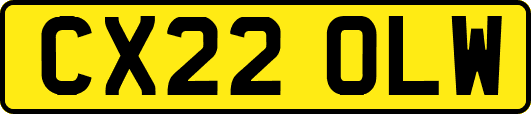 CX22OLW