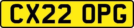 CX22OPG