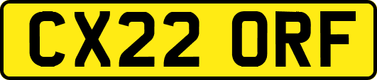 CX22ORF