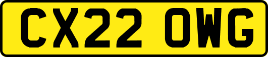 CX22OWG