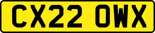 CX22OWX