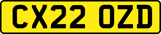 CX22OZD