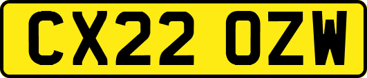 CX22OZW