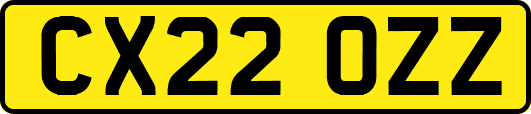 CX22OZZ