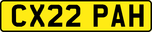CX22PAH