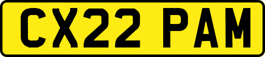 CX22PAM