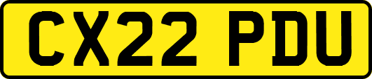 CX22PDU