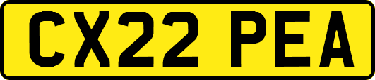 CX22PEA