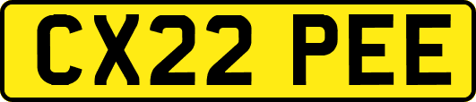 CX22PEE