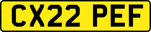CX22PEF