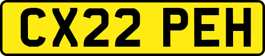 CX22PEH
