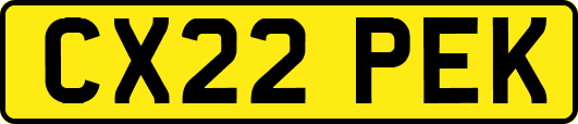 CX22PEK