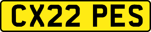 CX22PES