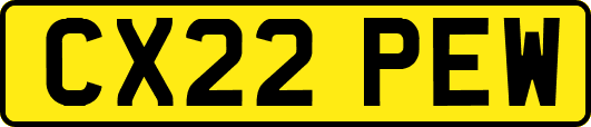 CX22PEW