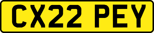 CX22PEY