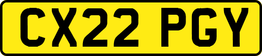 CX22PGY
