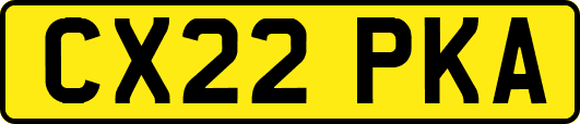 CX22PKA