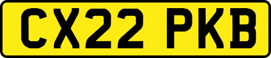 CX22PKB