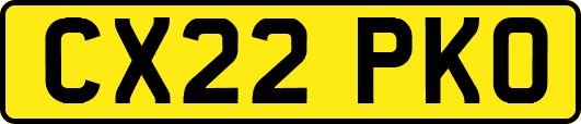 CX22PKO