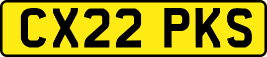 CX22PKS