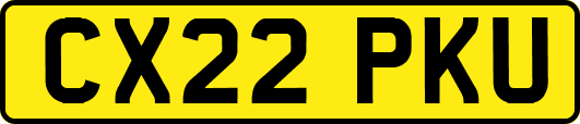 CX22PKU