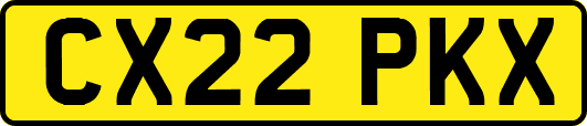 CX22PKX