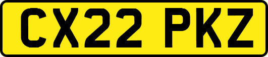 CX22PKZ