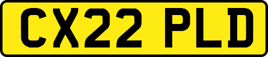 CX22PLD